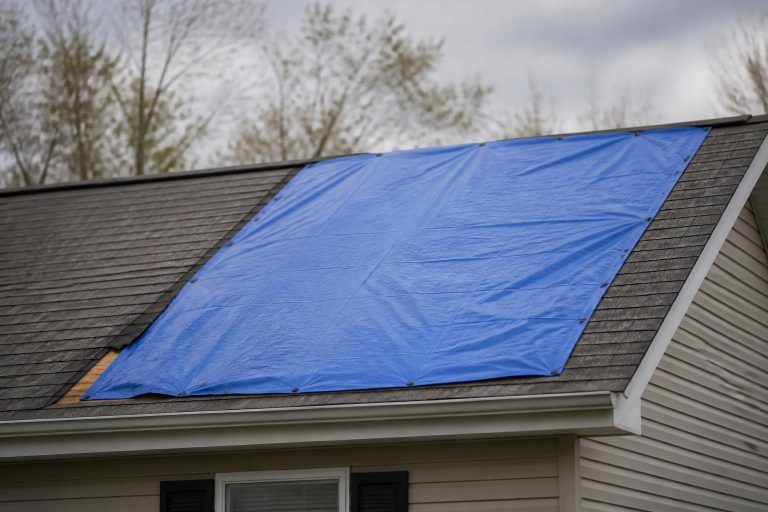 Emergency Tarp